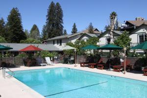 The swimming pool at or close to The Woods Hotel - Gay LGBTQ Cabins