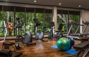 Anantara Golden Triangle Elephant Camp & Resort tesisinde fitness merkezi ve/veya fitness olanakları