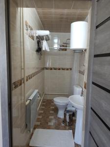 a small bathroom with a toilet and a sink at Datka Guest House in Naryn +35 photos