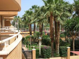 d'un balcon avec des palmiers et des buissons. dans l'établissement APCOSTAS - Marina Mar 1a Línea, à Oropesa del Mar