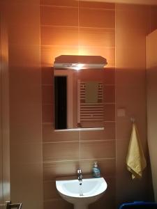 ein Bad mit einem Waschbecken und einem Spiegel in der Unterkunft Central Studio Apartment in Novi Sad