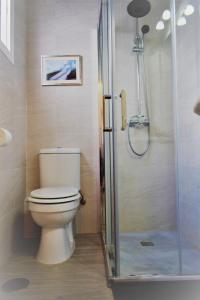 a bathroom with a toilet and a shower at Duplex Esperanza in Málaga
