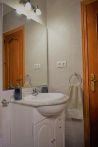 a bathroom with a white sink and a mirror at Duplex Esperanza in Málaga