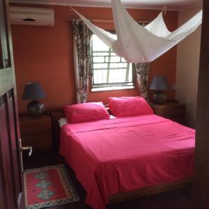 1 dormitorio con 2 camas con sábanas rosas y ventana en Bamboe en Meerzorg
