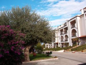 a tree in the middle of a street next to a building at Uliveto in Gioiosa Marea +15 photos