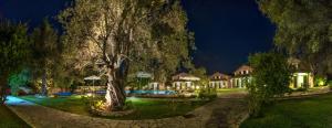 Vonkajšia záhrada v ubytovaní Iliana Villas