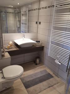 La salle de bains est pourvue d'un lavabo, de toilettes et d'un miroir. dans l'établissement Ferienwohnung Leonora, à Remagen