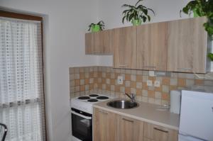 A kitchen or kitchenette at Privát Magdalena