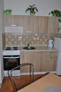 A kitchen or kitchenette at Privát Magdalena