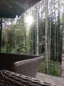 uma rede num deque na floresta em Dom Suwalszczyzna em Suwałki