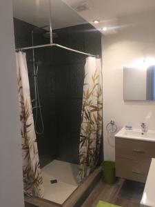 a bathroom with a shower and a sink at C'Renity Studio in Cul de Sac