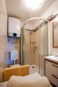 a bathroom with a shower and a toilet and a sink at Vista mare - Sea View in Rovinj