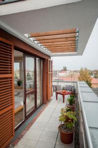 A balcony or terrace at Apartament Regina - Jantar