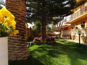 un palmier dans une cour à côté d'un bâtiment dans l'établissement Oikos Holiday Apartments, à Agrigente