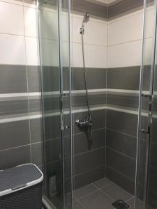 y baño con ducha y puerta de cristal. en Apartment Smestaj B, en Novi Pazar