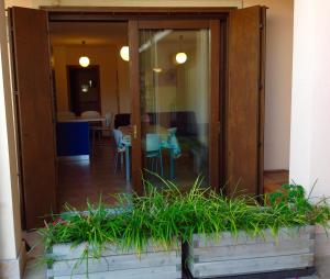 サンタンブロージョ・ディ・ヴァルポリチェッラにあるPaola Apartmentsの植物の建物のガラス戸