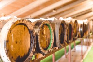 une rangée de tonneaux de vin alignés sur une étagère dans l'établissement Hotel San Pellegrino, à Spilamberto