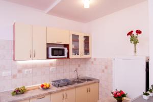 Kuchyň nebo kuchyňský kout v ubytování Apartmani Galija