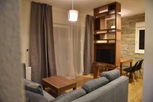 a living room with a couch and a television at Apartments Pino D'oro in Zlatibor
