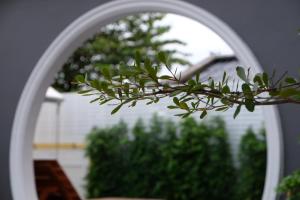 a mirror reflection of a tree in front of a plant at The Besavana Phuket - SHA Extra Plus in Phuket Town