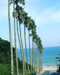 Gallery image of Guesthouse Irago in Tahara