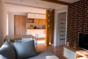Μια τηλεόραση ή/και κέντρο ψυχαγωγίας στο Apartamenty Sami Swoi