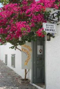 a building with a tree with pink flowers and a sign at Pension Erofili in Hydra