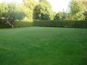 a large yard with green grass and a hedge at Ferienwohnung Zschornack in Wittichenau