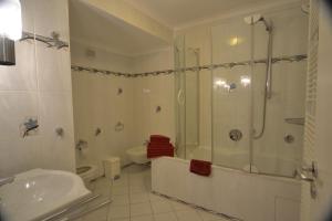 a bathroom with a shower and a sink and a toilet at Schwarwald Apartment in Schluchsee +17 photos