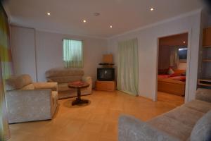 a living room with a couch and a tv at Schwarwald Apartment in Schluchsee