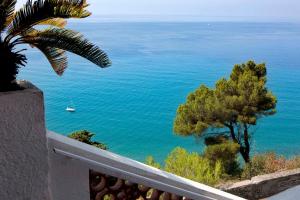 una vista sull'oceano da una casa con una palma di Le calandre a Ventimiglia