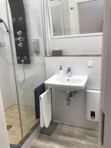 a bathroom with a sink and a shower at Am Brand in Mainz +13 photos