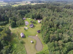 une vue aérienne sur une ferme avec un groupe d'arbres dans l'établissement Labanoro pasaka - Elenutės namai, à Berniūnai