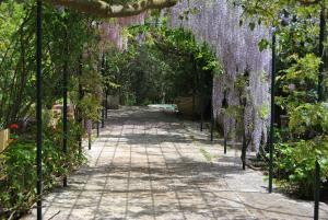a garden with wisteria hanging over a walkway at Gentilini Retreat in Argostoli