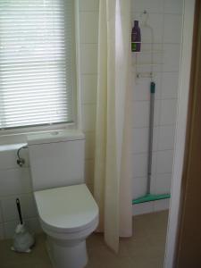 a bathroom with a toilet and a window and a shower at Bed&Breakfast Oudeschans in Oudeschans