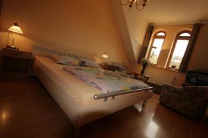 カルロヴィ・ヴァリにあるApartmany U Divadlaのベッドルーム1室(大型ベッド1台付)