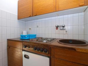 Kuchyň nebo kuchyňský kout v ubytování Apartments Zorka 1421