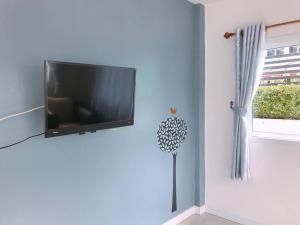 素輦府的住宿－蘇林汝之地旅館，挂在蓝色墙壁上的平面电视