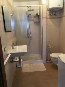 a bathroom with a shower and a sink and a toilet at Podere Telesforo in Acquapendente
