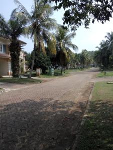 an empty street with palm trees and a house at Admiral Villa in Carita