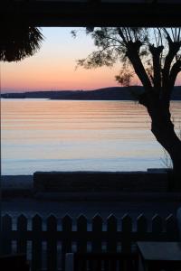 a body of water with a tree and a fence at Hotel Paros in Parikia