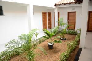 un patio con plantas en un edificio en Hotel Icamiabas, en Parintins