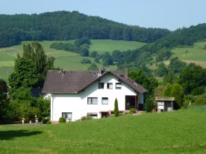 uma casa branca numa colina com um campo verde em Ferienwohnungen Finke em Frankenau