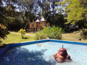 a pig in a swimming pool with a playground at Ferienparadies Waldidylle, Familiengeführt seit über 20 Jahren - mit großem Pool und viel Platz! in Haida