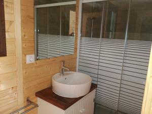 łazienka z umywalką i lustrem w obiekcie Camping Riaza w mieście Riaza