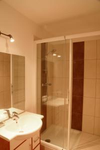 a bathroom with a shower and a sink and a tub at Residence des Bains in Plombières-les-Bains