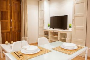 Televízia a/alebo spoločenská miestnosť v ubytovaní Apartamentos Boutique Salamanca