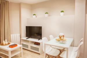 Televízia a/alebo spoločenská miestnosť v ubytovaní Apartamentos Boutique Salamanca