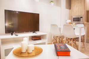 Televízia a/alebo spoločenská miestnosť v ubytovaní Apartamentos Boutique Salamanca