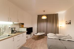 Kuchyňa alebo kuchynka v ubytovaní White Swan Apartment